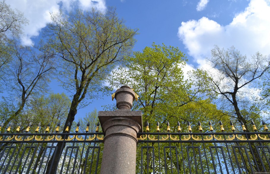 Художник Тимоти Истон картины