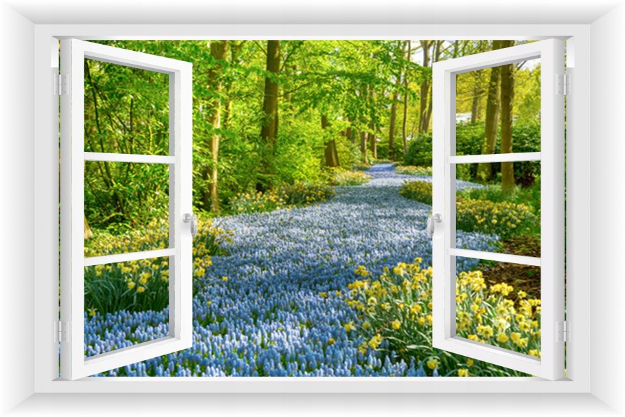 Фотообои окно в природу