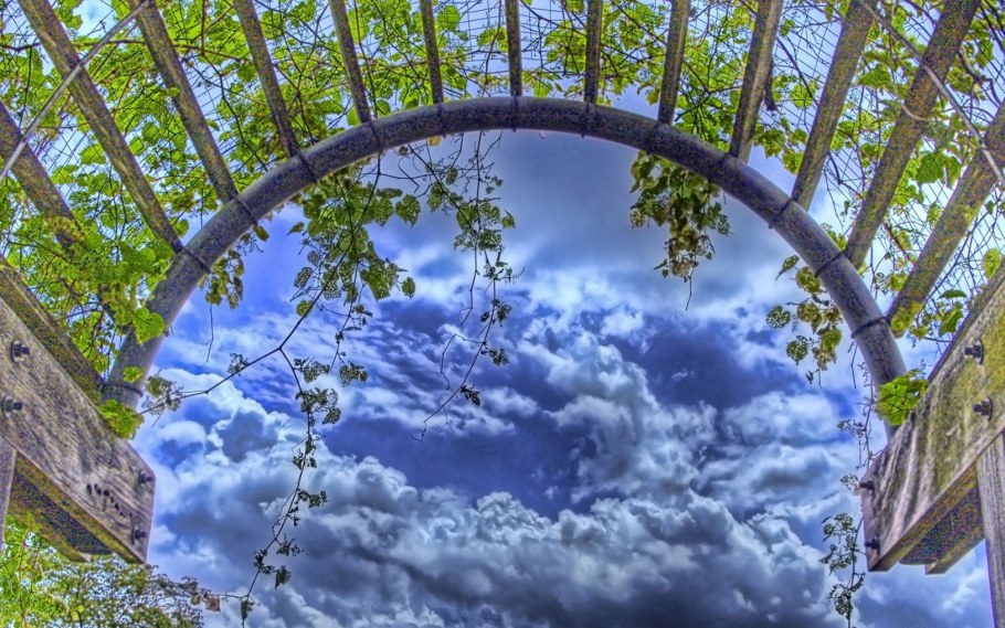 Весеннее окно