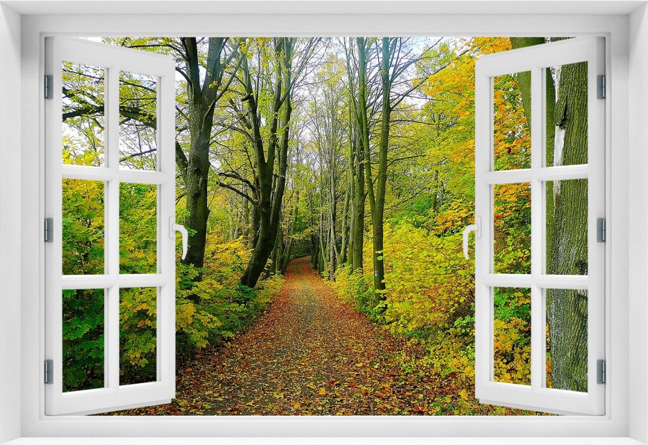 Открытое окно