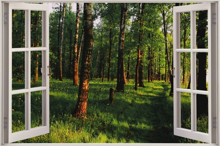 Сад в окне