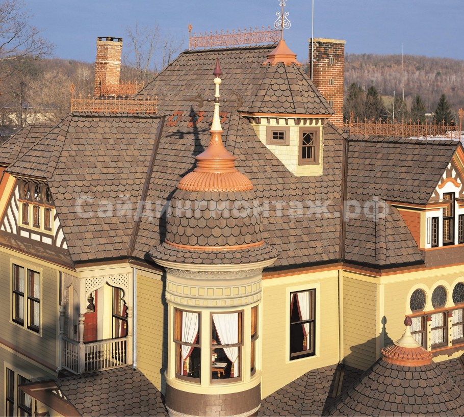 Шинглас Континент Африка