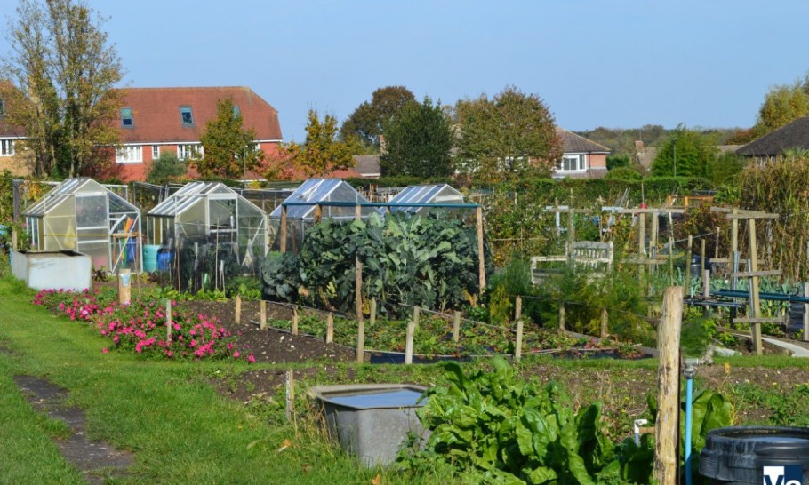 Огороды в Британии