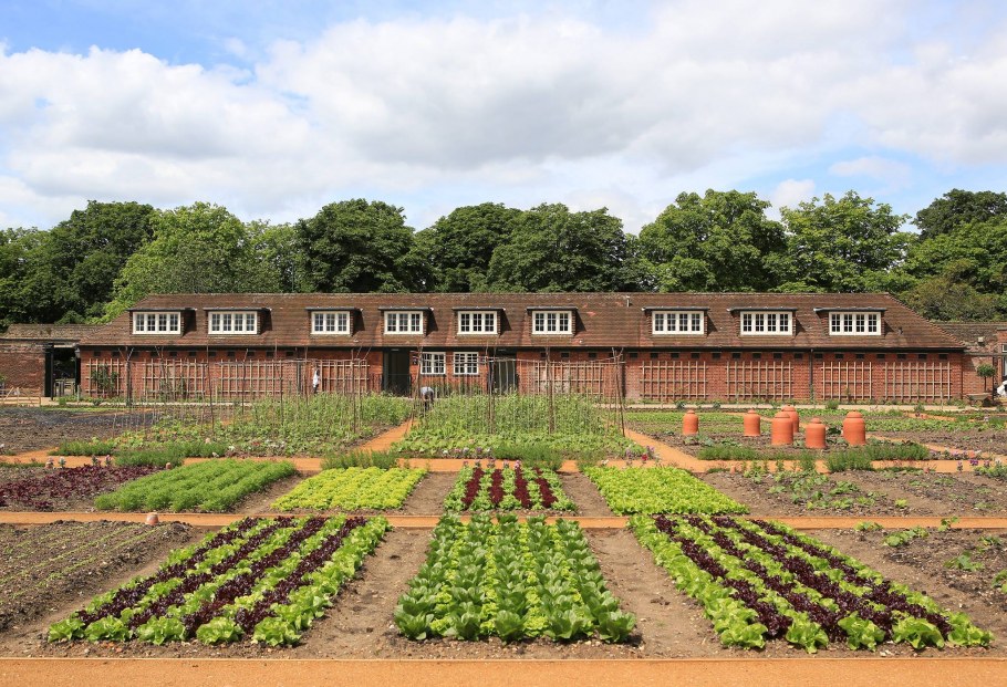 Пермакультура Англия