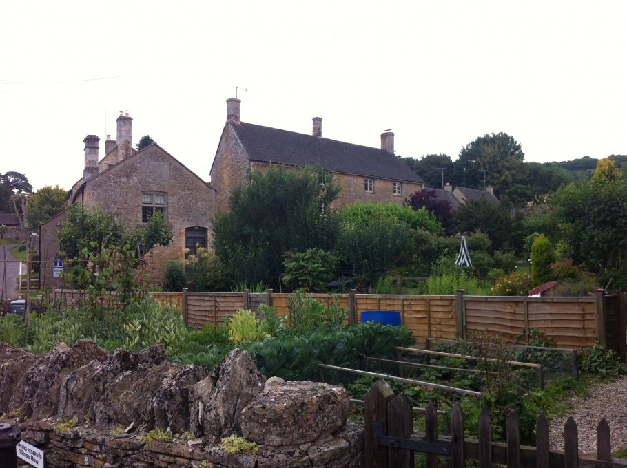 Запущенный огород