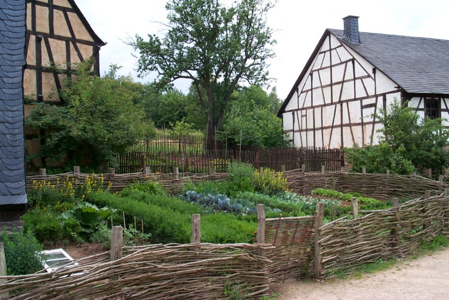 Теплица на дачном участке