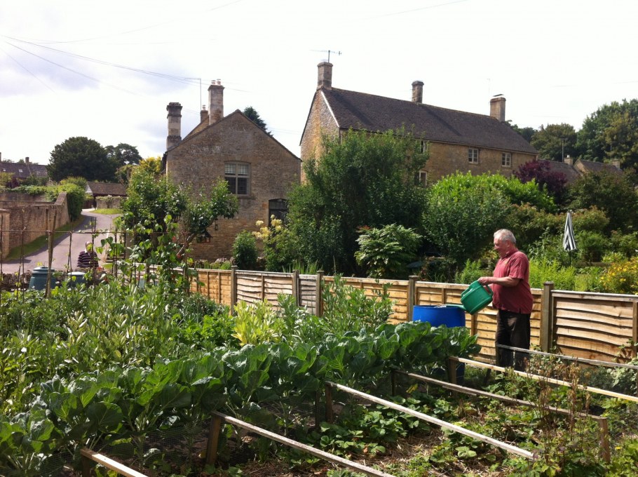 Огородики в Великобритании