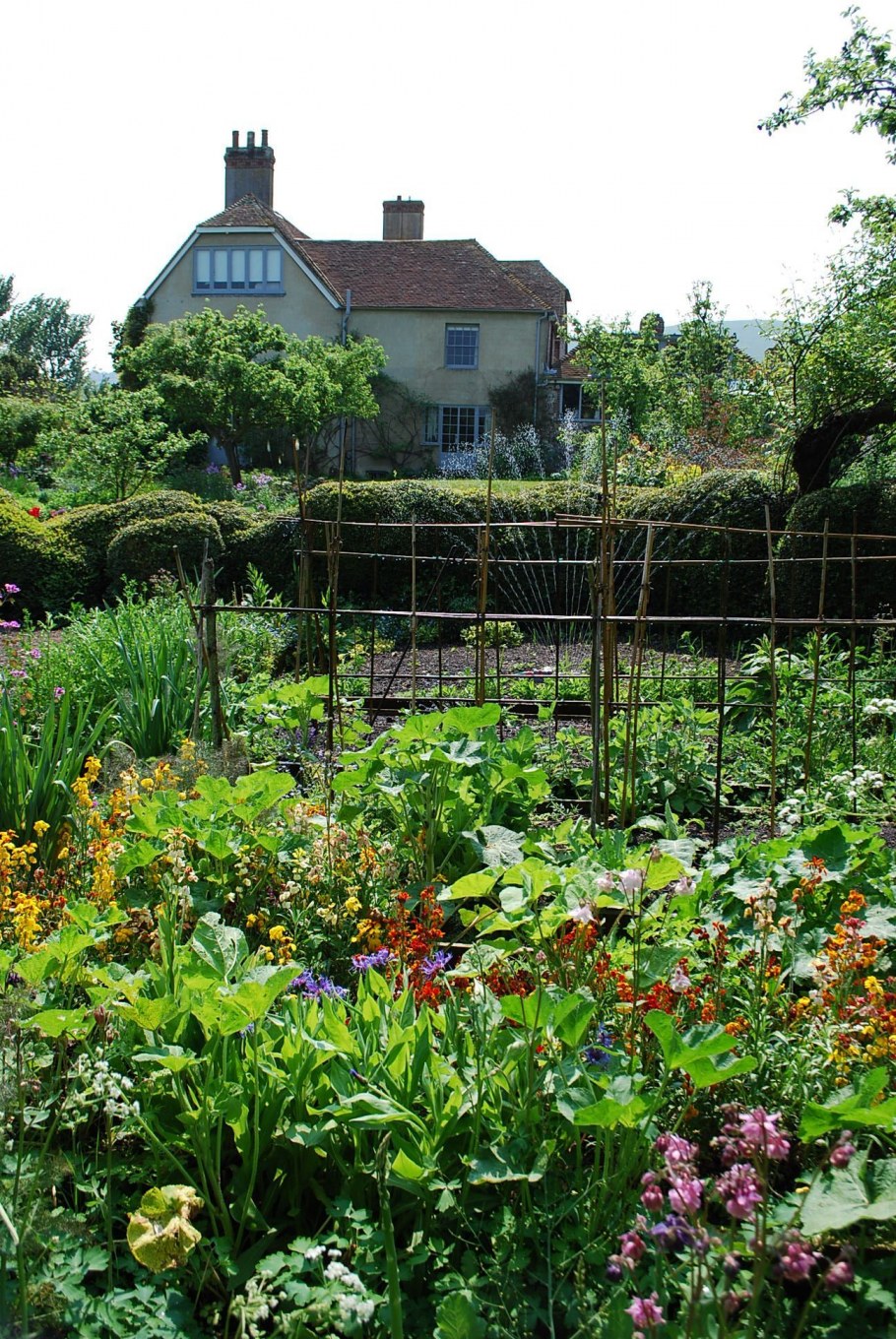 Огороды в Британии