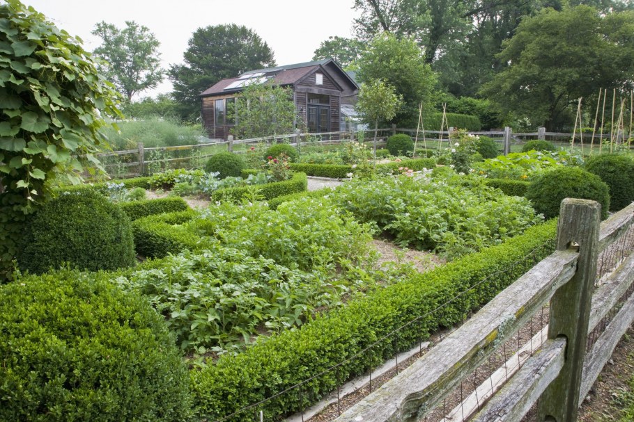 Огород в Латвии