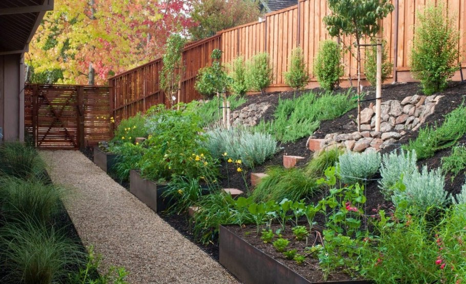 Террасирование огорода