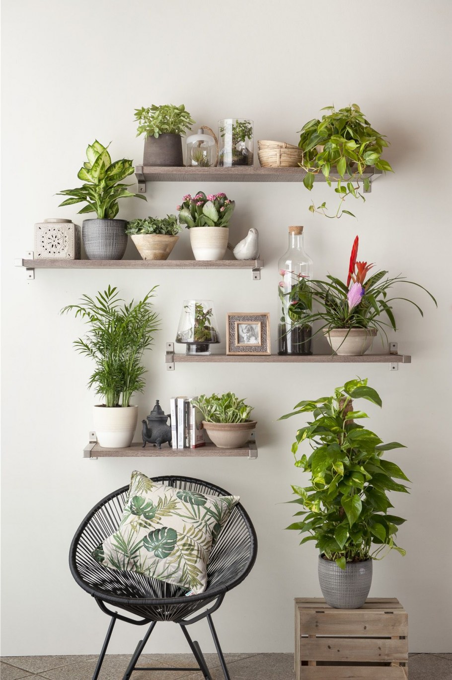 Размещение цветов в интерьере