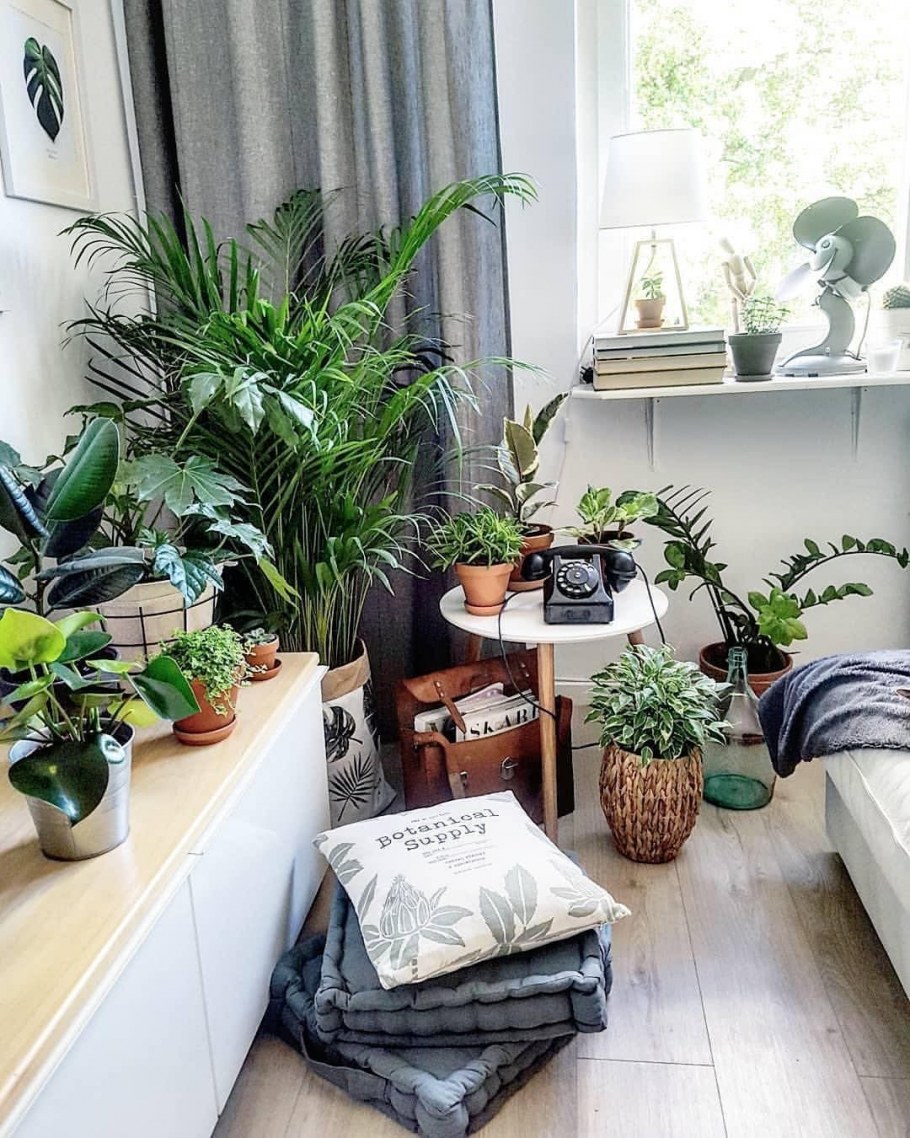 Цветочный уголок в комнате