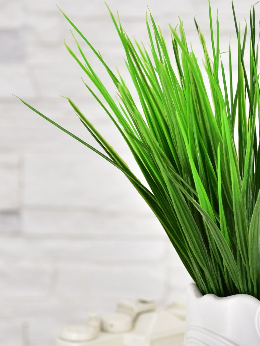 Искусственные растения