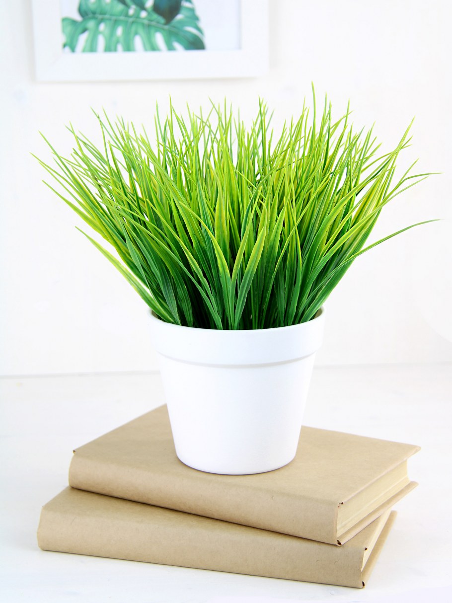 Декоративная трава в горшках