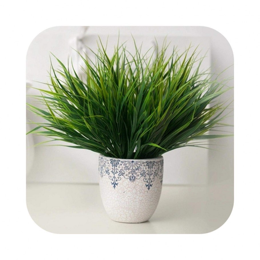 Сциндапсус фитостена