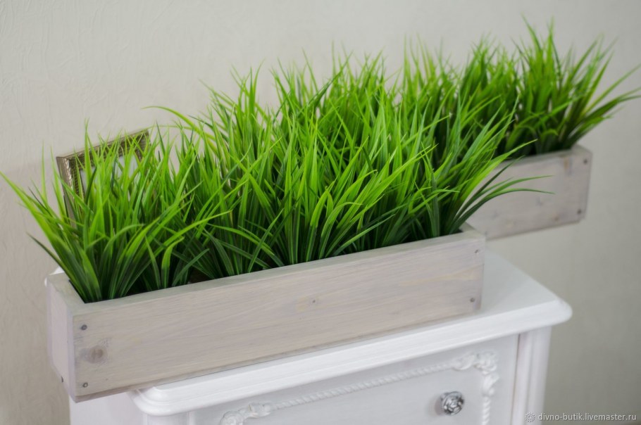 Декоративная зелень