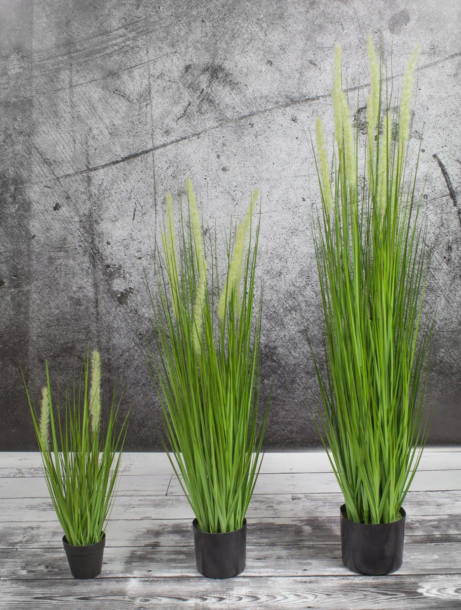 Bittergurka БИТТЕРГУРКА