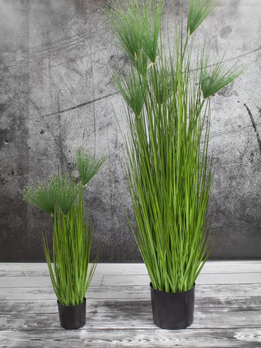 Трава Ванилла Грасс зелёная