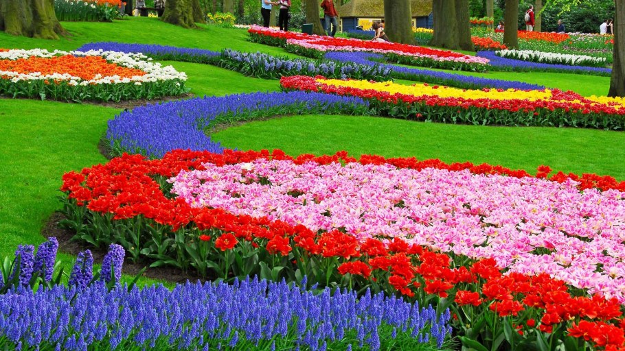 Keukenhof Tulip Garden