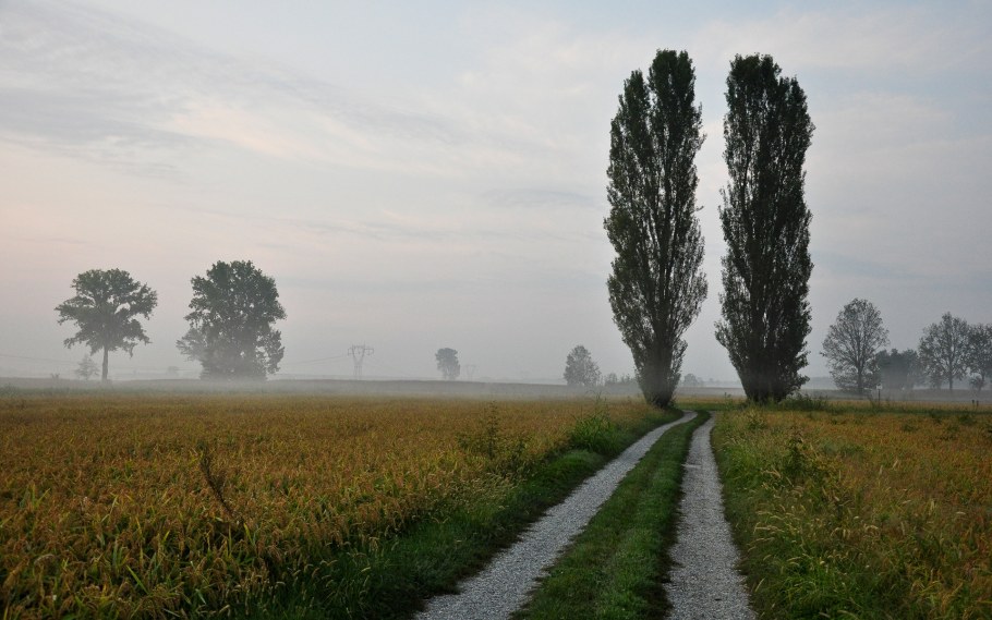 Перегородка акустическая складная тканевая