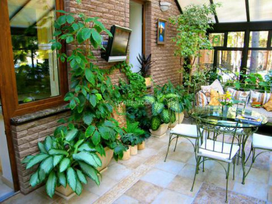 Зимний сад на террасе