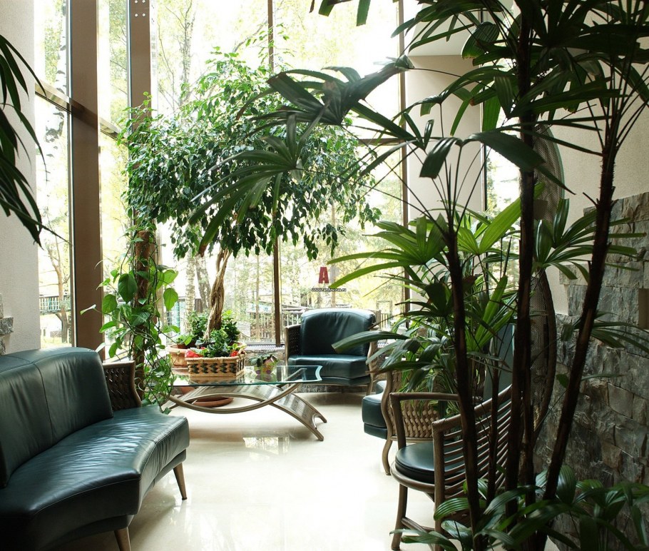 Зимний сад фитодизайн