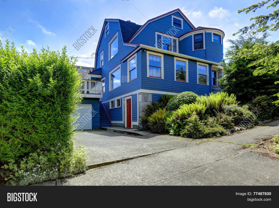 Огромный синий дом