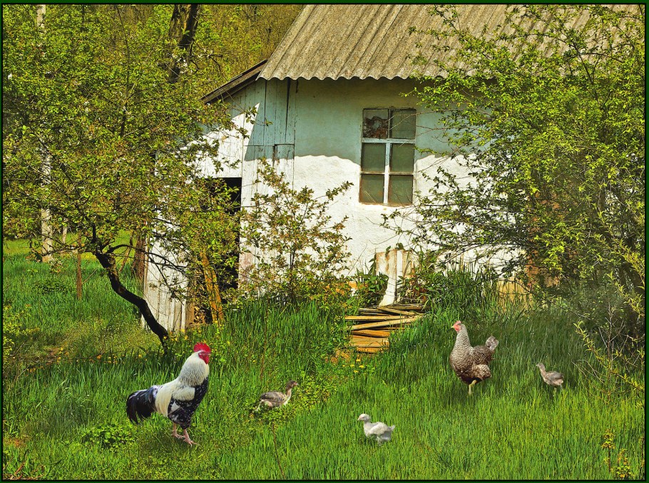 Дворик в деревне