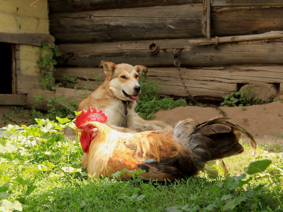 Сергей Красноперов фотограф