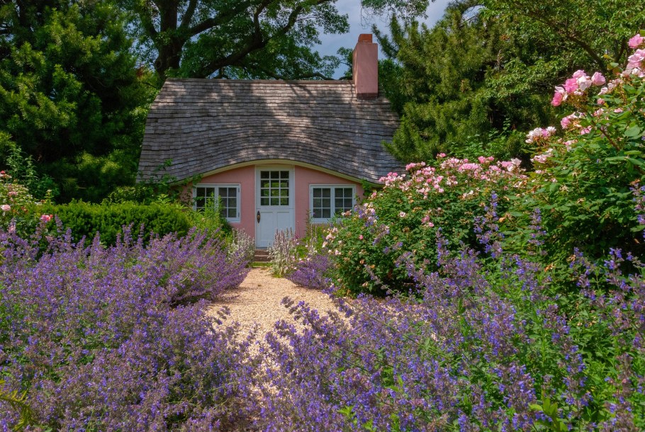 Природа в стиле Прованс