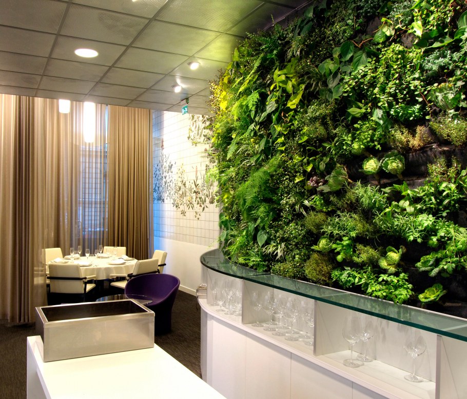 Перегородки фитостены