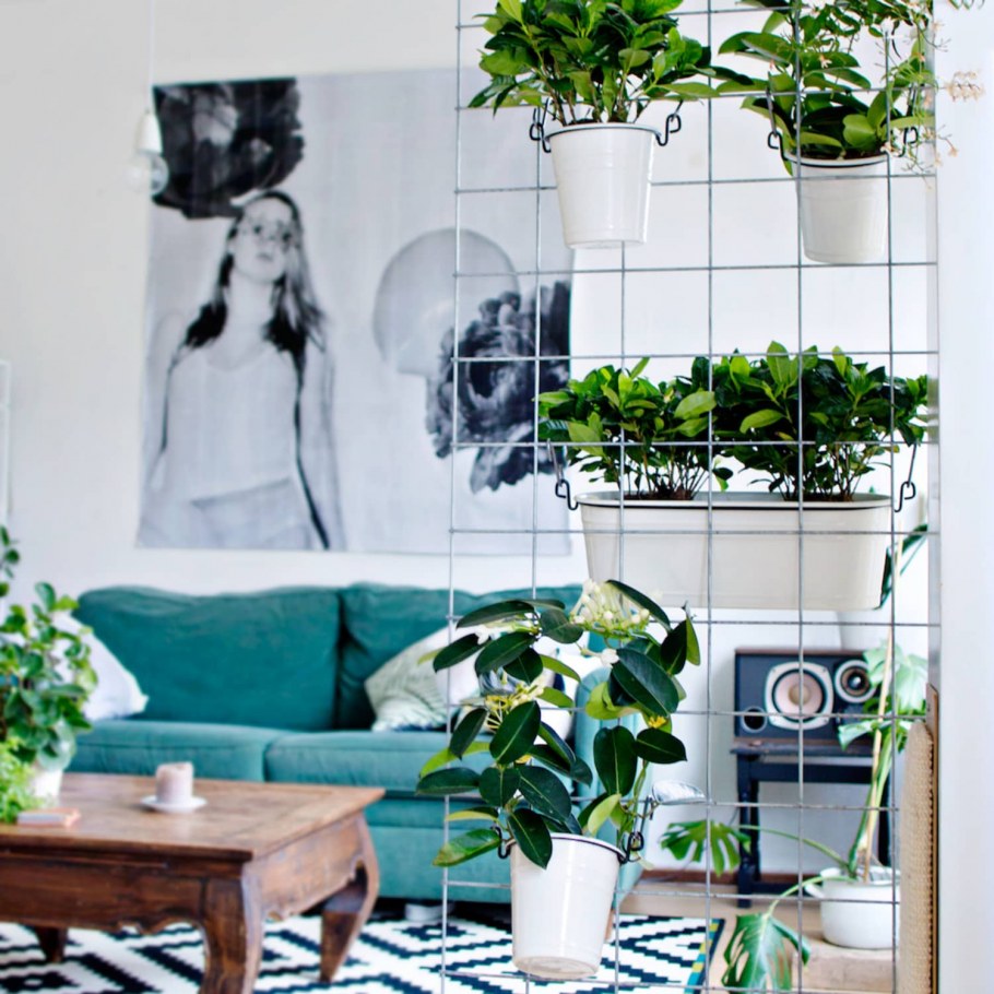 Зонирование цветами в интерьере