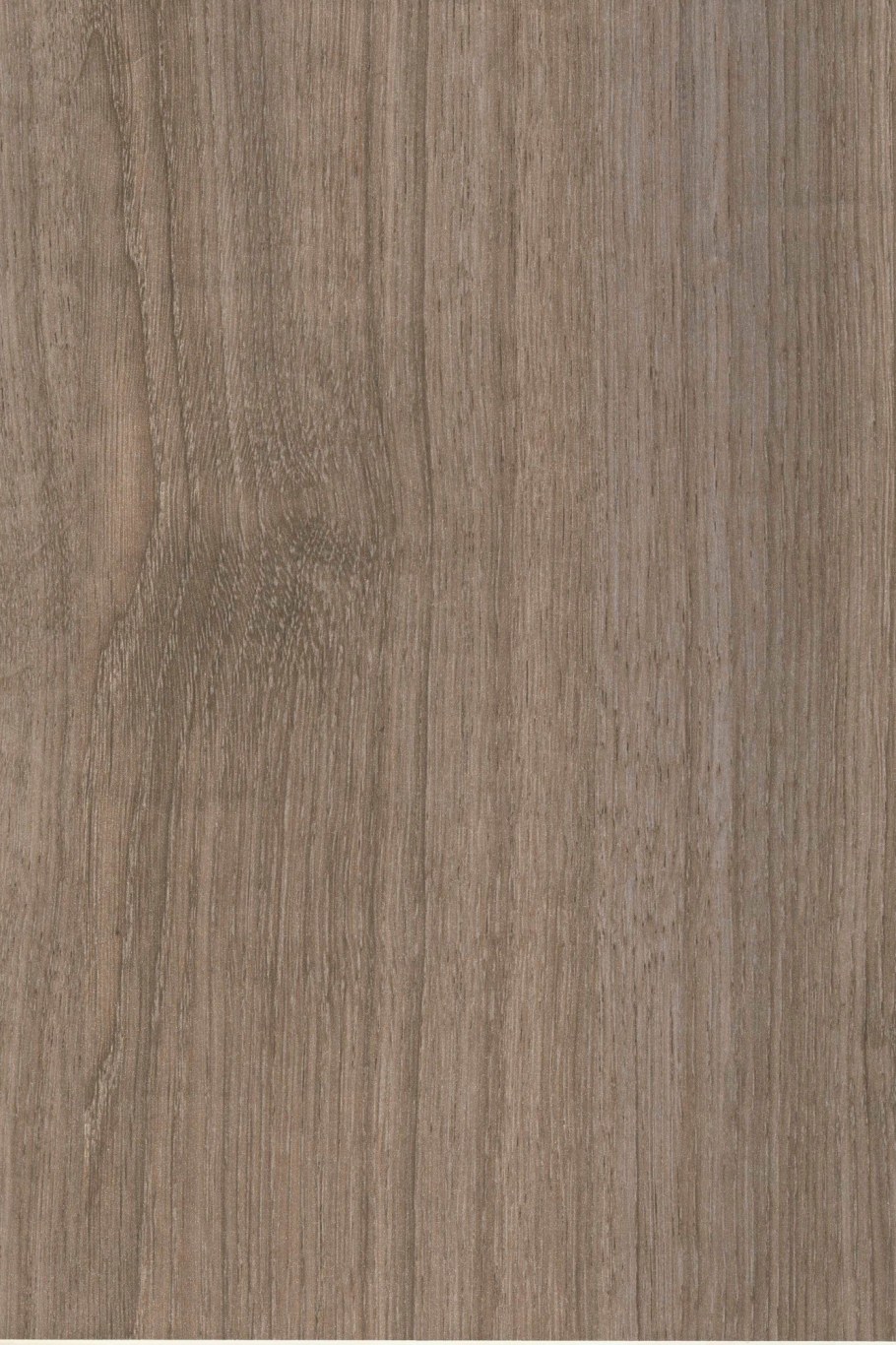 Ясень шимо темный Югра