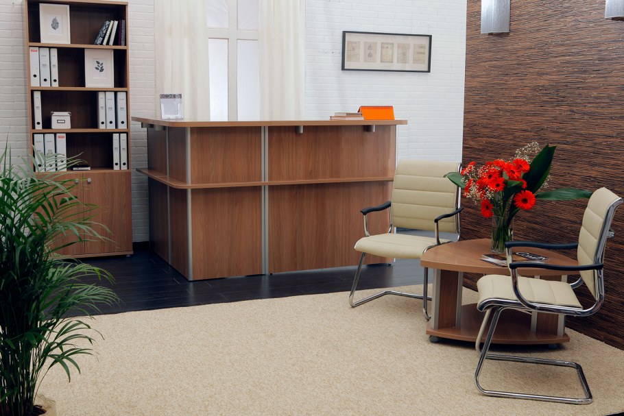 Приемная директора ресепшн проект