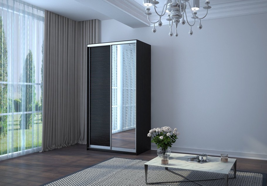 Шкаф купе Роланд Модерн