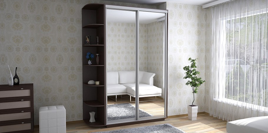 Шкаф-купе Экспенс (хит)