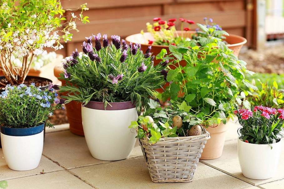 Горшечная культура