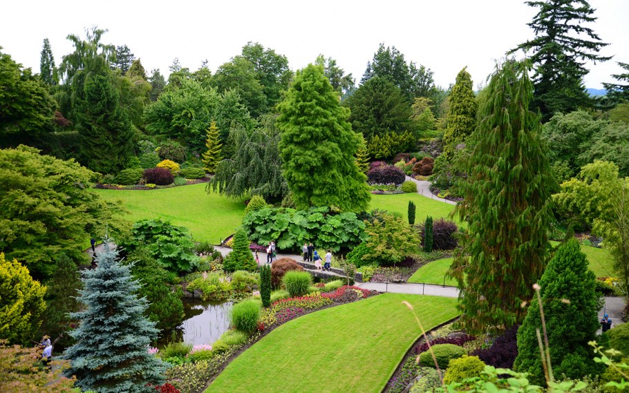 Ландшафтный дизайнер