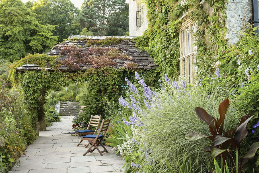 Миксбордер с самшитом