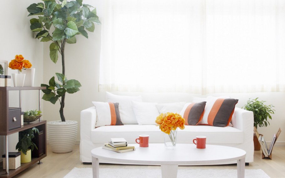 Интерьер стена