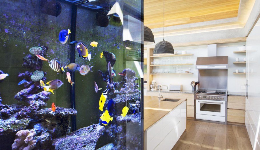 Аквариум в интерьере