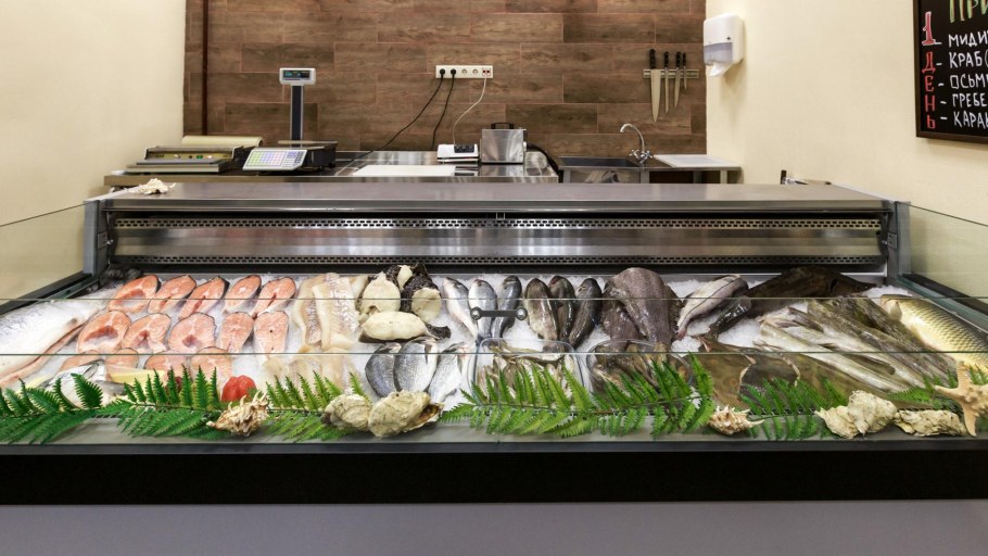 Шикарный аквариум