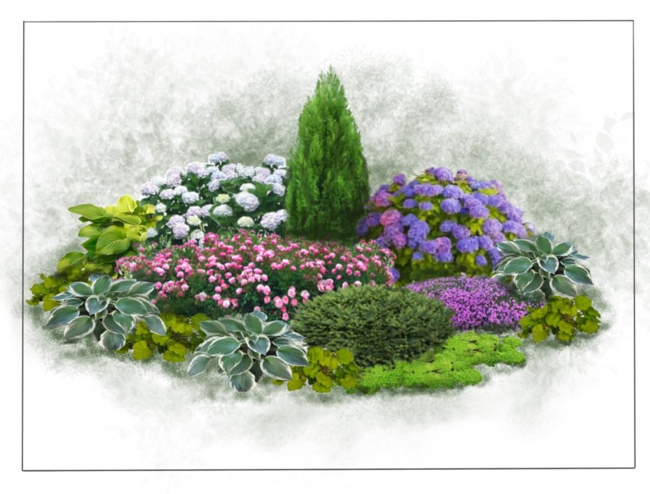 Миксбордер с боярышником