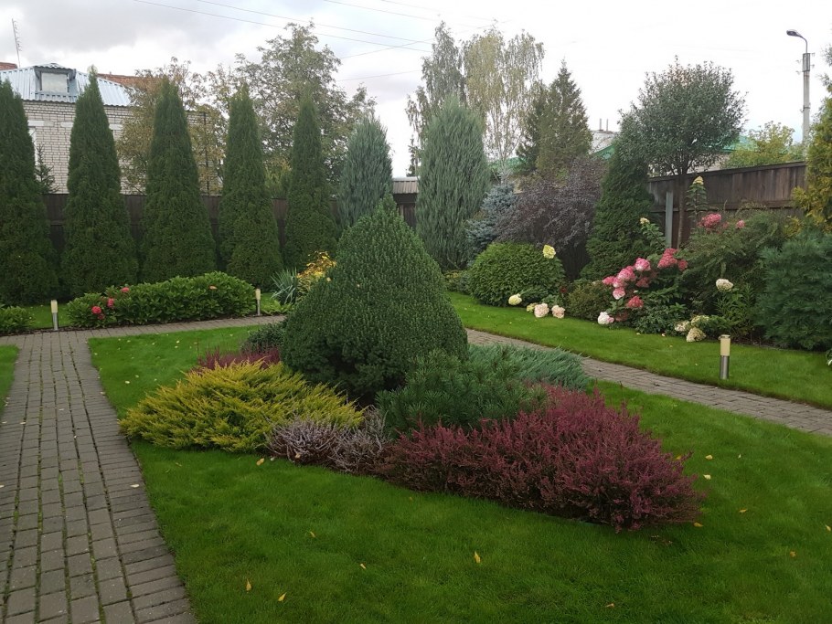 Вересковый миксбордер