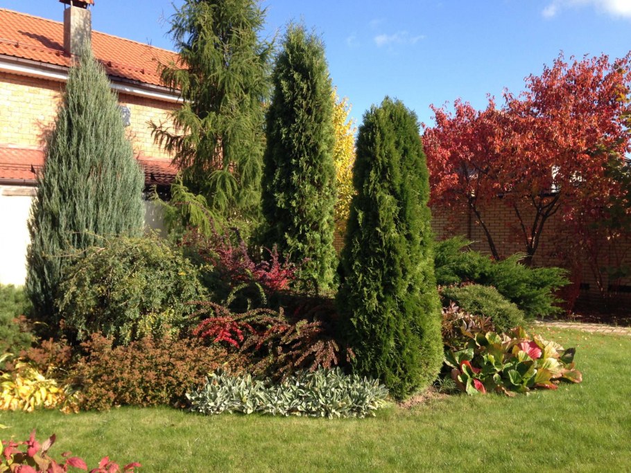 Рабатка с хвойниками