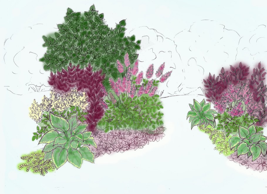 Миксбордер с сиренью