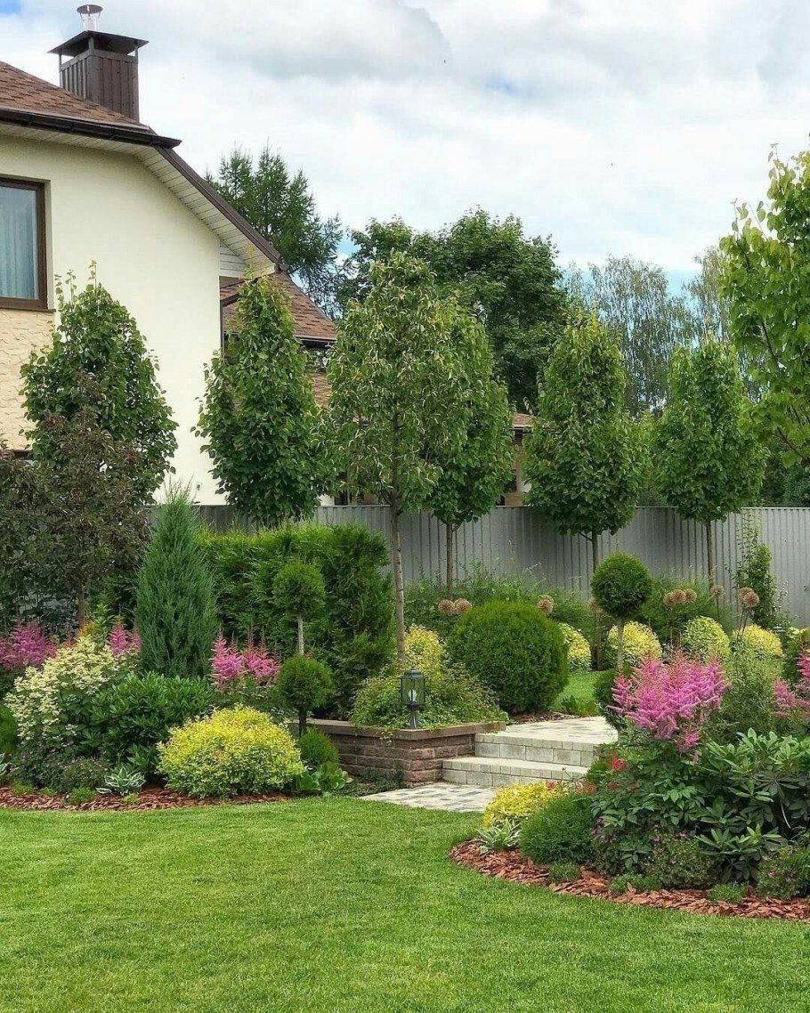 Клумба хвойники гортензии Барбарис