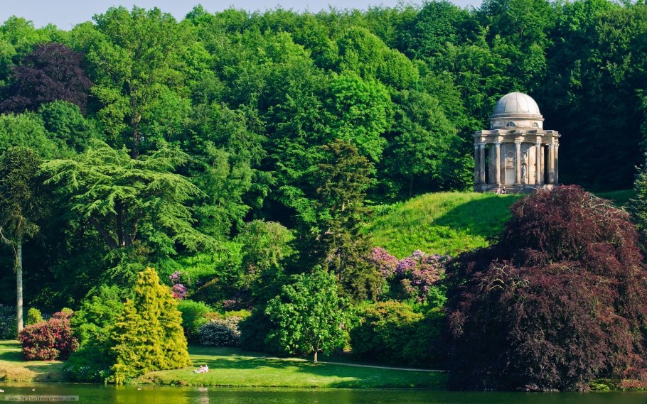 Флора Англии