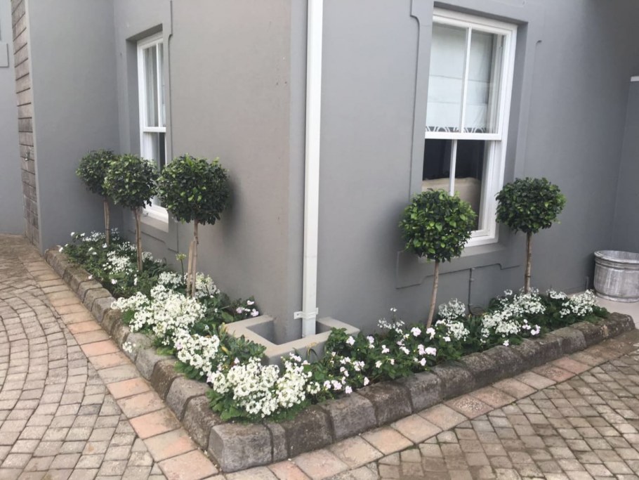 Интерьерные клумбы в интерьере