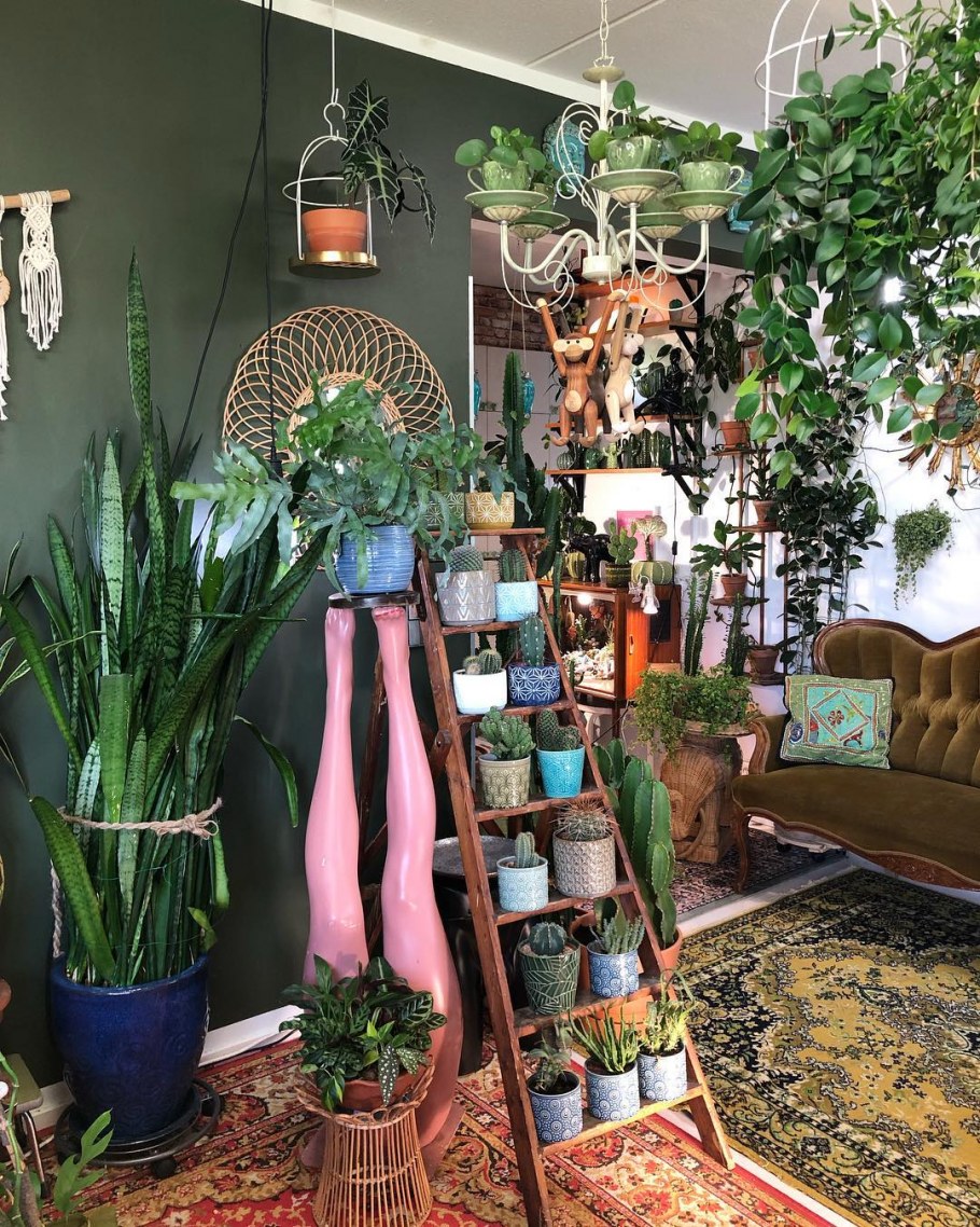 Уголок для цветов